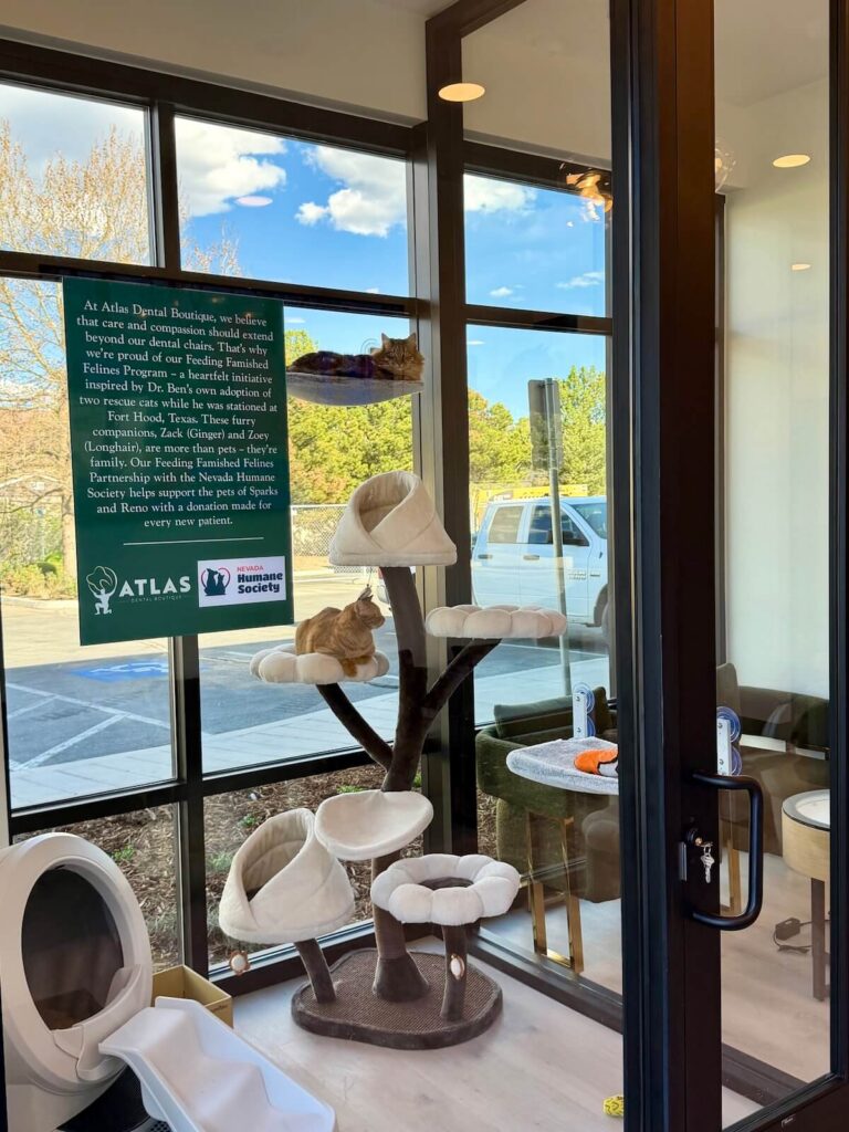 Atlas Dental Boutique office and patient care image
